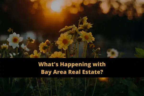 Copy of Coronavirus newsletter cover (2)