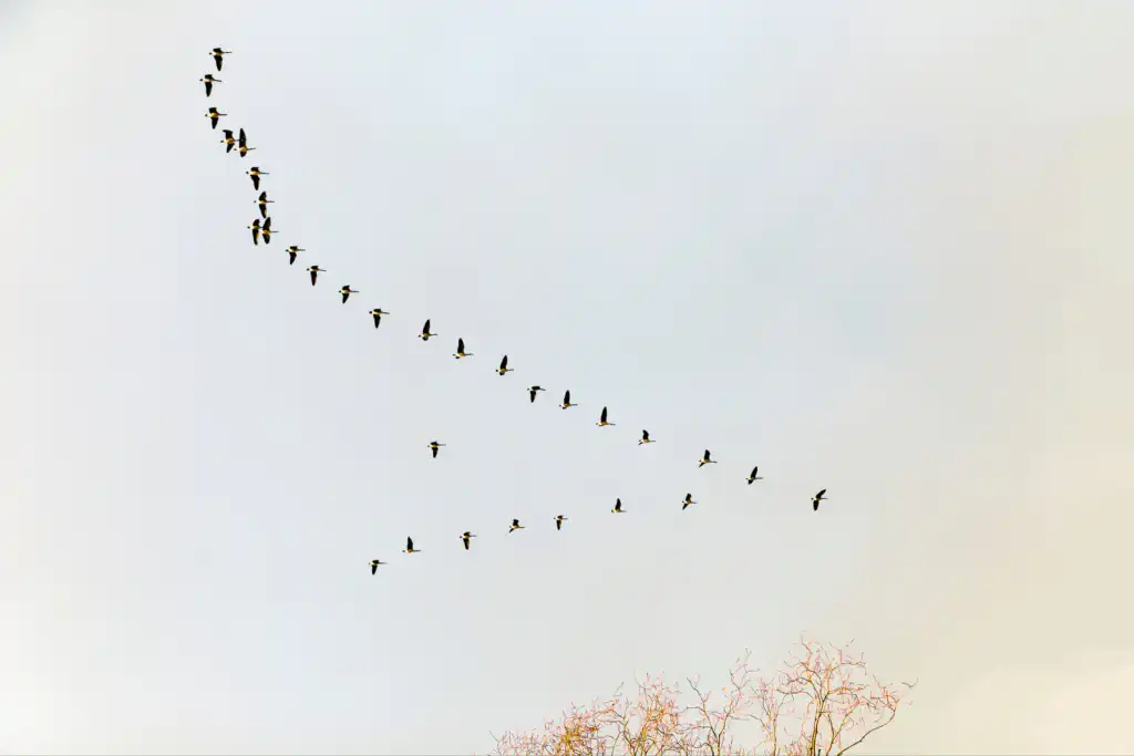 August 2021 cover (Landscape)