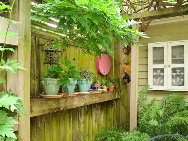 plant pots displayed on fence potted plants on shelf garden design 17029