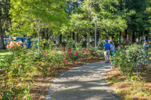 44