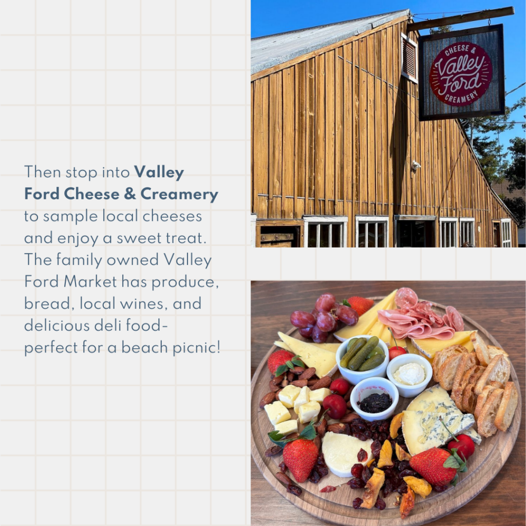 Then stop into Valley Ford Cheese & Creamery to sample local cheeses and enjoy a sweet treat. The family owned Valley Ford Market has produce, bread, local wines, and delicious deli food- perfect for a beach picnic!