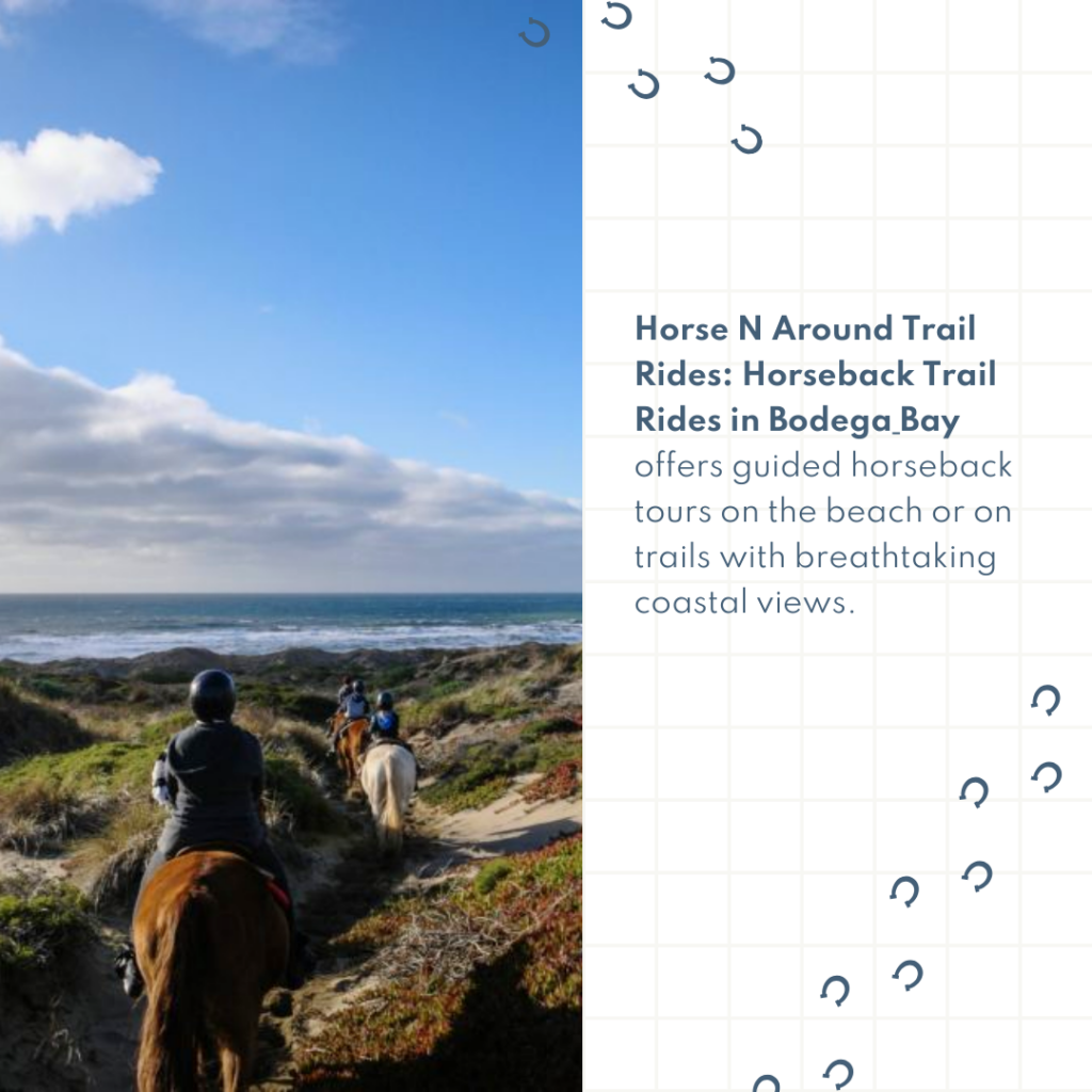 Horse N Around Trail Rides: Horseback Trail Rides in Bodega Bay offers guided horseback tours on the beach or on trails with breathtaking coastal views.