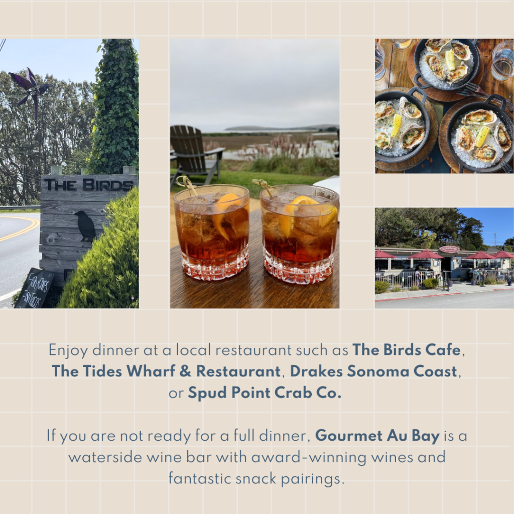 Enjoy dinner at a local restaurant such as The Birds Cafe, The Tides Wharf & Restaurant, Drakes Sonoma Coast, or Spud Point Crab Co. If you are not ready for a full dinner, Gourmet Au Bay is a waterside wine bar with award-winning wines and fantastic snack pairings.