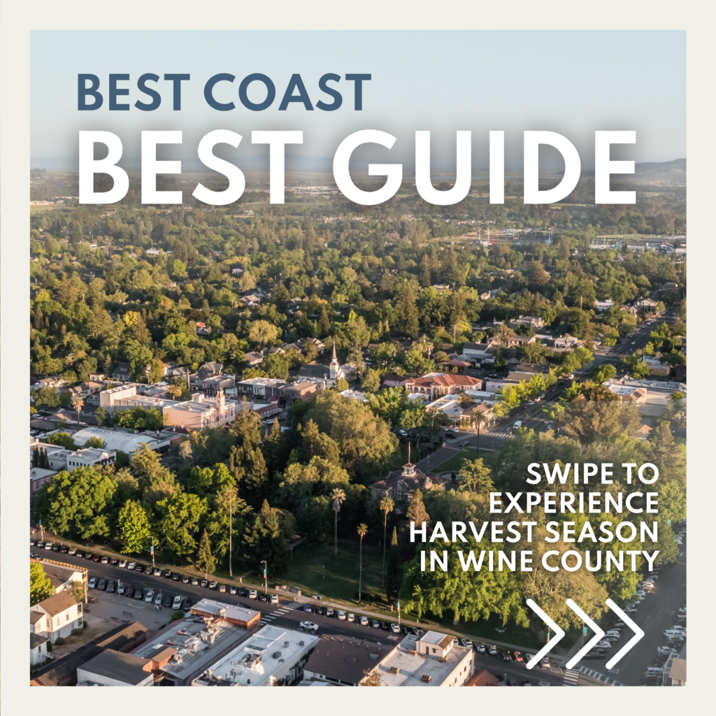 SWIPE to Experience harvest season in wine county