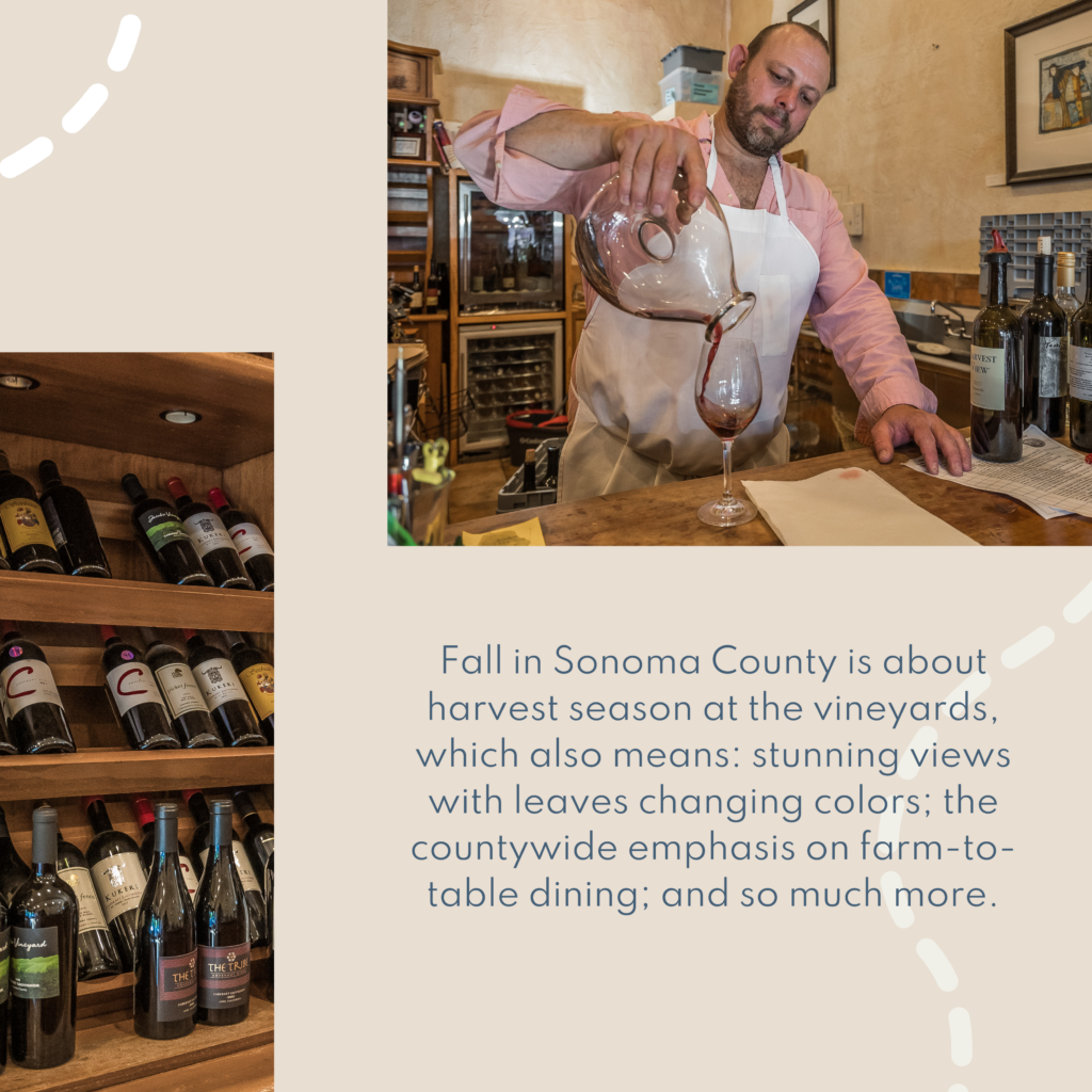 Fall in Sonoma County is about harvest season at the vineyards, which also means: stunning views with leaves changing colors; the countywide emphasis on farm-to-table dining; and so much more.