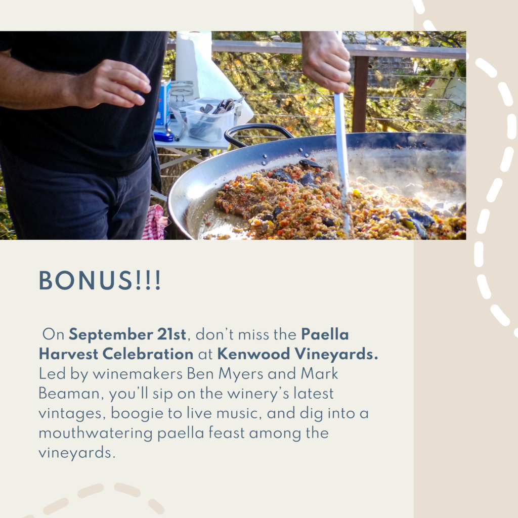 On September 21st, don’t miss the Paella Harvest Celebration at Kenwood Vineyards. Led by winemakers Ben Myers and Mark Beaman, you’ll sip on the winery’s latest vintages, boogie to live music, and dig into a mouthwatering paella feast among the vineyards.