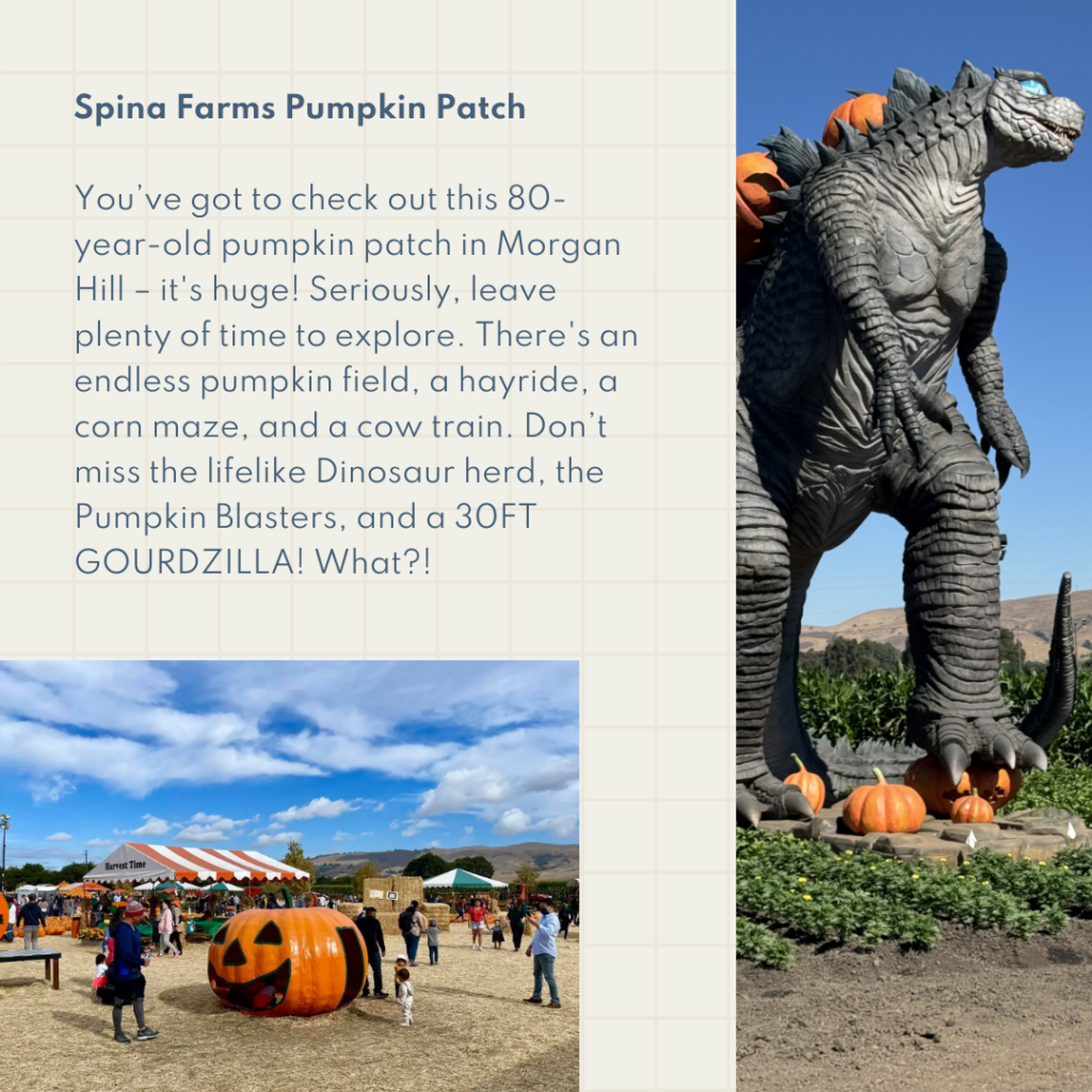 Spina Farms Pumpkin Patch You’ve got to check out this 80-year-old pumpkin patch in Morgan Hill – it's huge! Seriously, leave plenty of time to explore. There's an endless pumpkin field, a hayride, a corn maze, and a cow train. Don’t miss the lifelike Dinosaur herd, the Pumpkin Blasters, and a 30FT GOURDZILLA! What?!