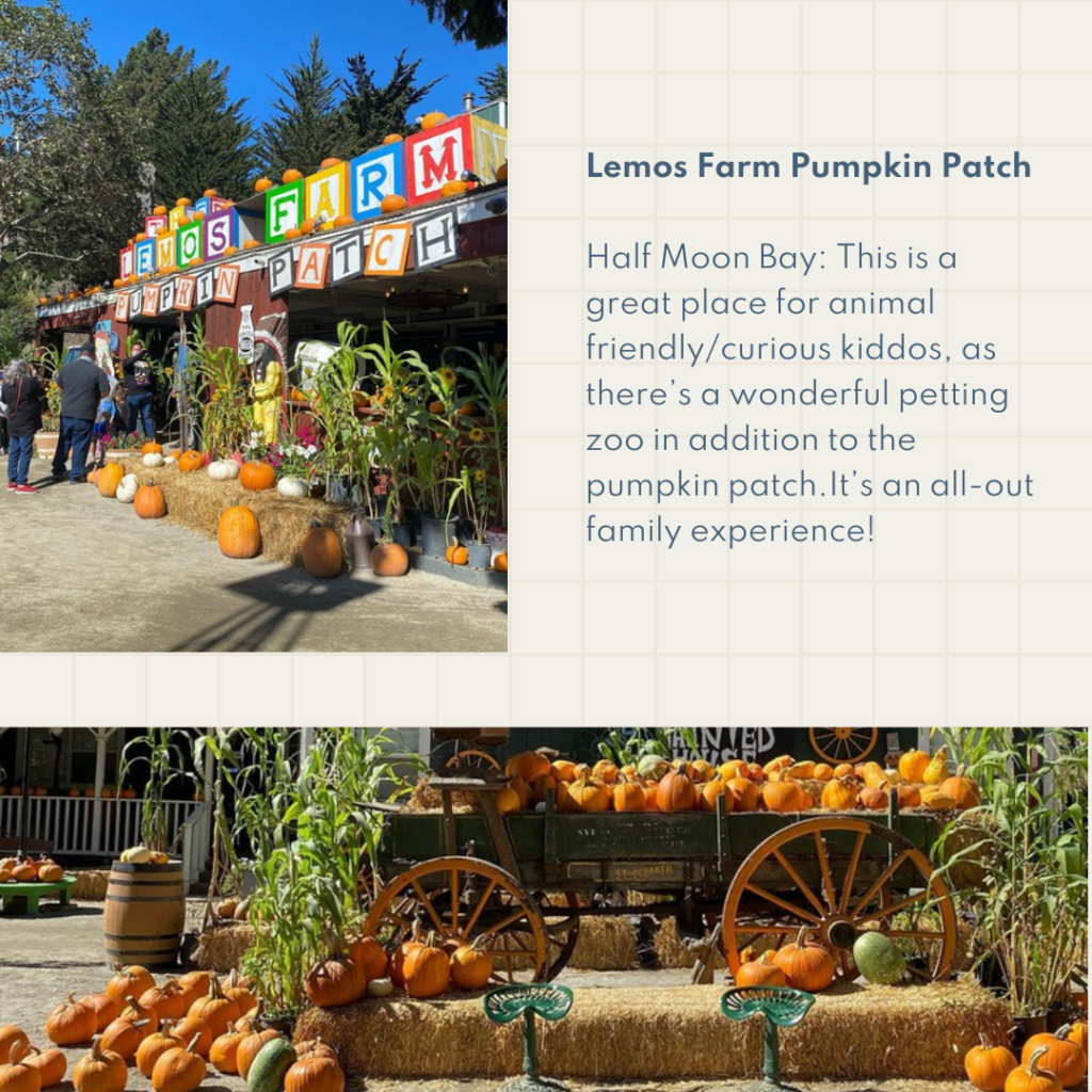 Lemos Farm Pumpkin Patch Half Moon Bay: This is a great place for animal friendly/curious kiddos, as there’s a wonderful petting zoo in addition to the pumpkin patch.It’s an all-out family experience!