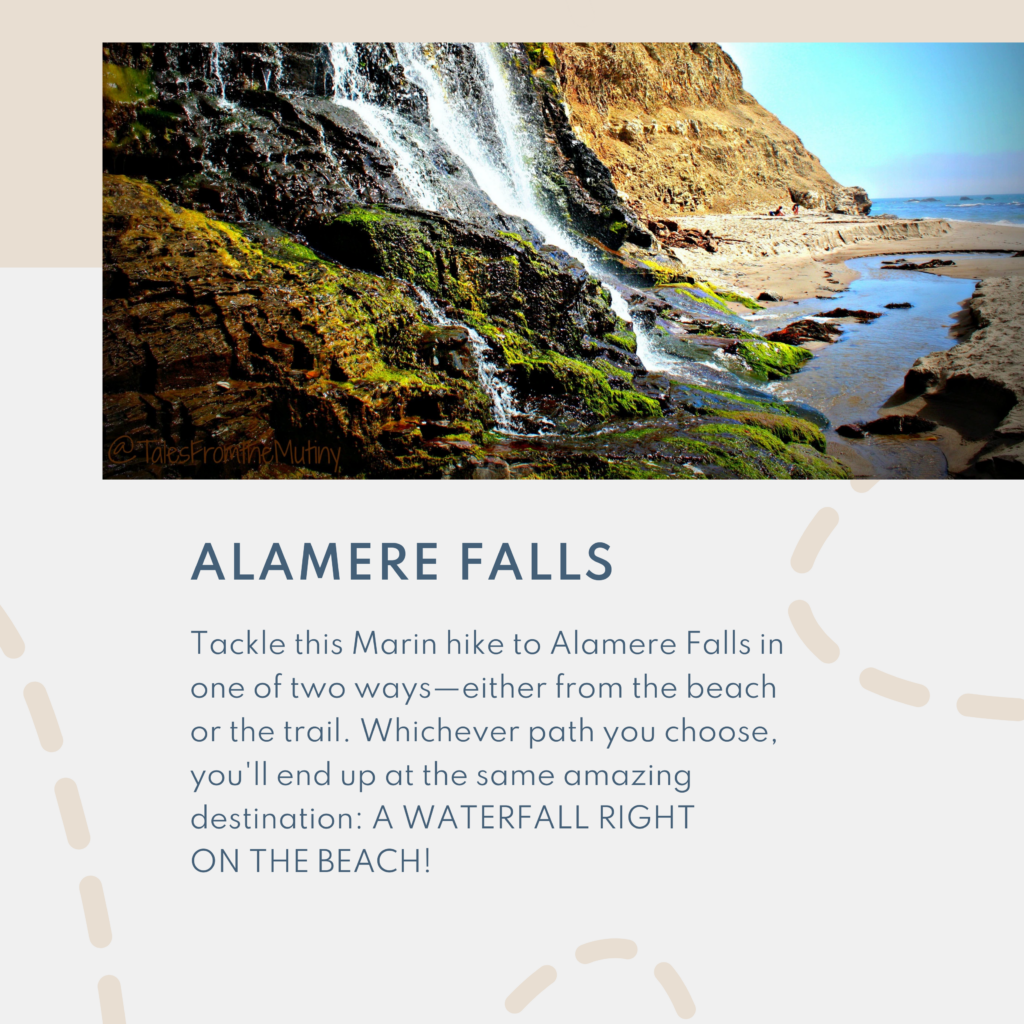 Tackle this Marin hike to Alamere Falls in one of two ways—either from the beach or the trail. Whichever path you choose, you'll end up at the same amazing destination: A WATERFALL RIGHT on the beach!