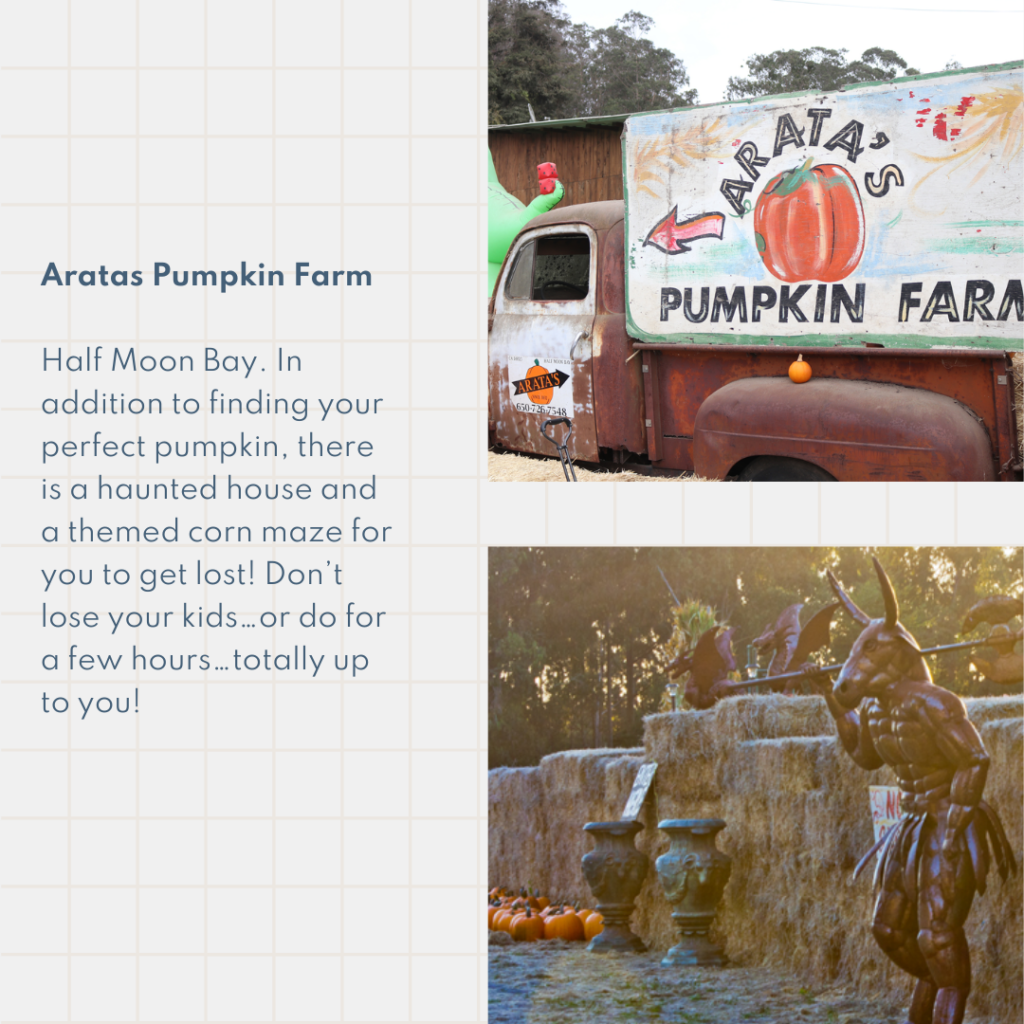 Aratas Pumpkin Farm Half Moon Bay. In addition to finding your perfect pumpkin, there is a haunted house and a themed corn maze for you to get lost! Don’t lose your kids…or do for a few hours…totally up to you!