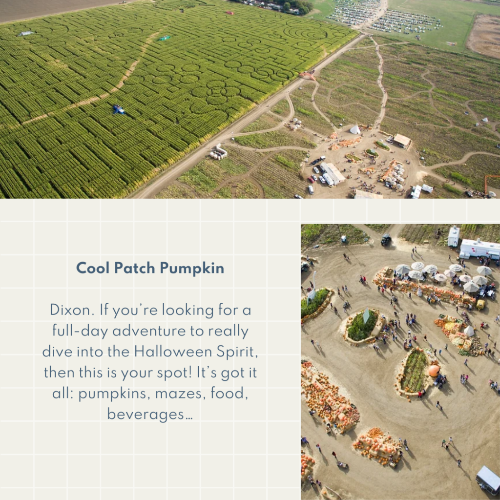 Cool Patch Pumpkin Dixon. If you’re looking for a full-day adventure to really dive into the Halloween Spirit, then this is your spot! It’s got it all: pumpkins, mazes, food, beverages…