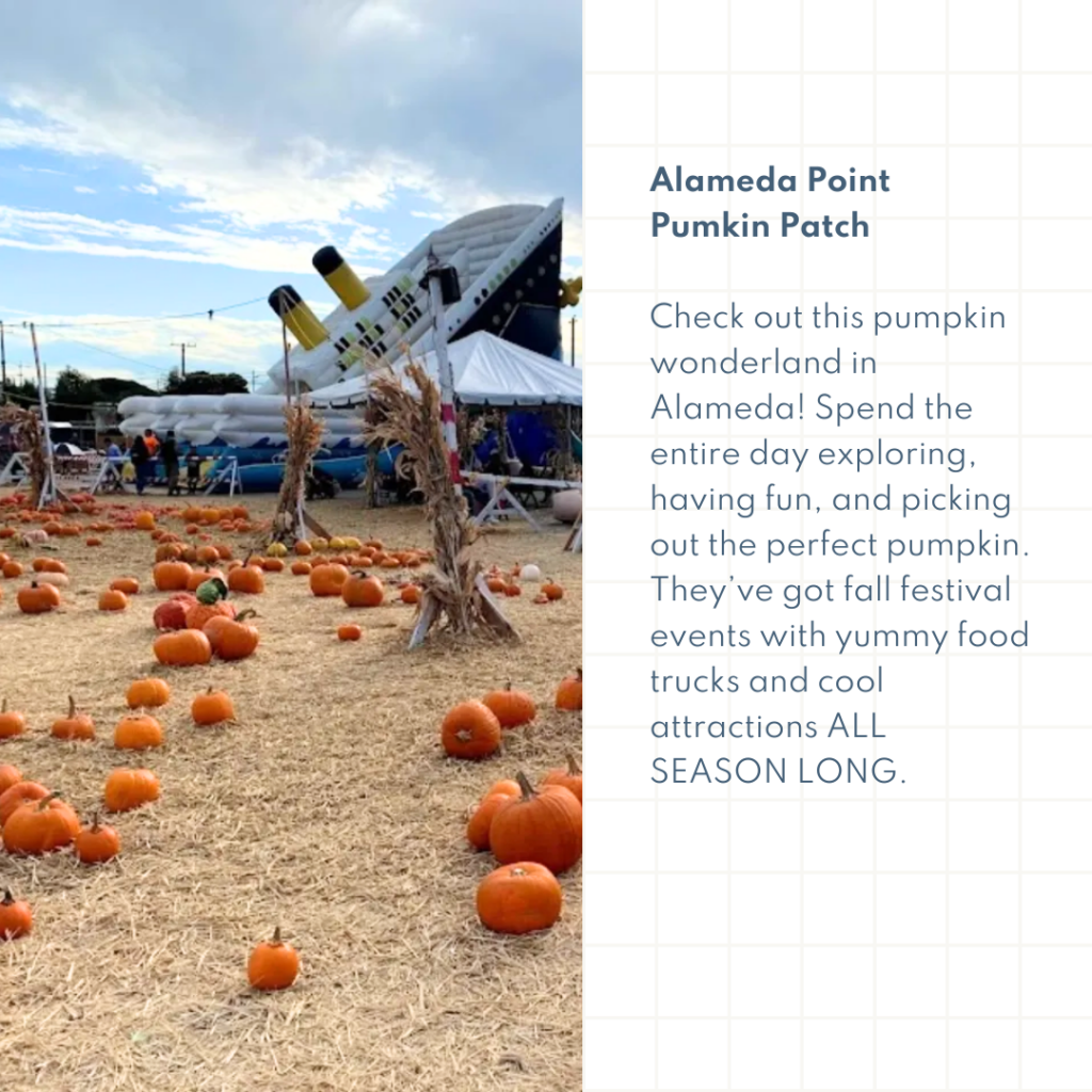 Alameda Point Pumkin Patch Check out this pumpkin wonderland in Alameda! Spend the entire day exploring, having fun, and picking out the perfect pumpkin. They’ve got fall festival events with yummy food trucks and cool attractions ALL SEASON LONG.