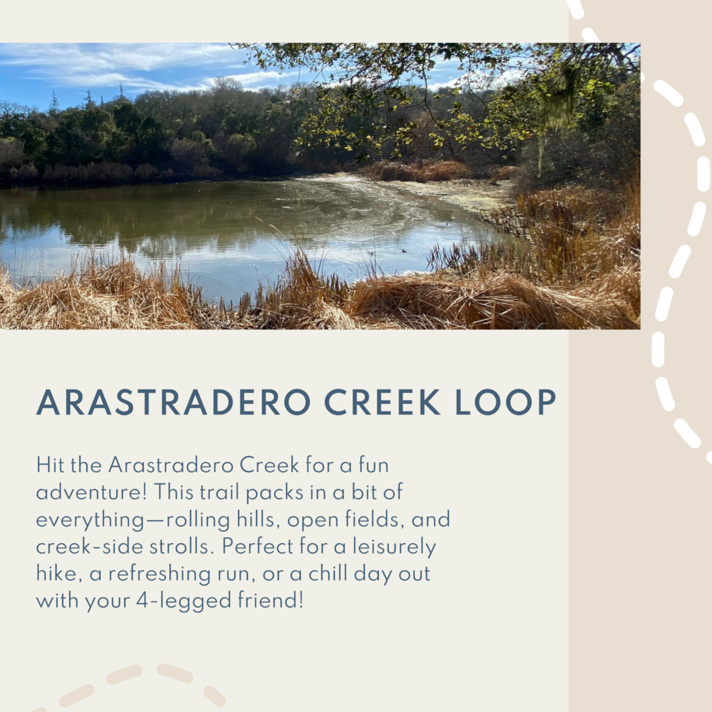 Hit the Arastradero Creek for a fun adventure! This trail packs in a bit of everything—rolling hills, open fields, and creek-side strolls. Perfect for a leisurely hike, a refreshing run, or a chill day out with your 4-legged friend!