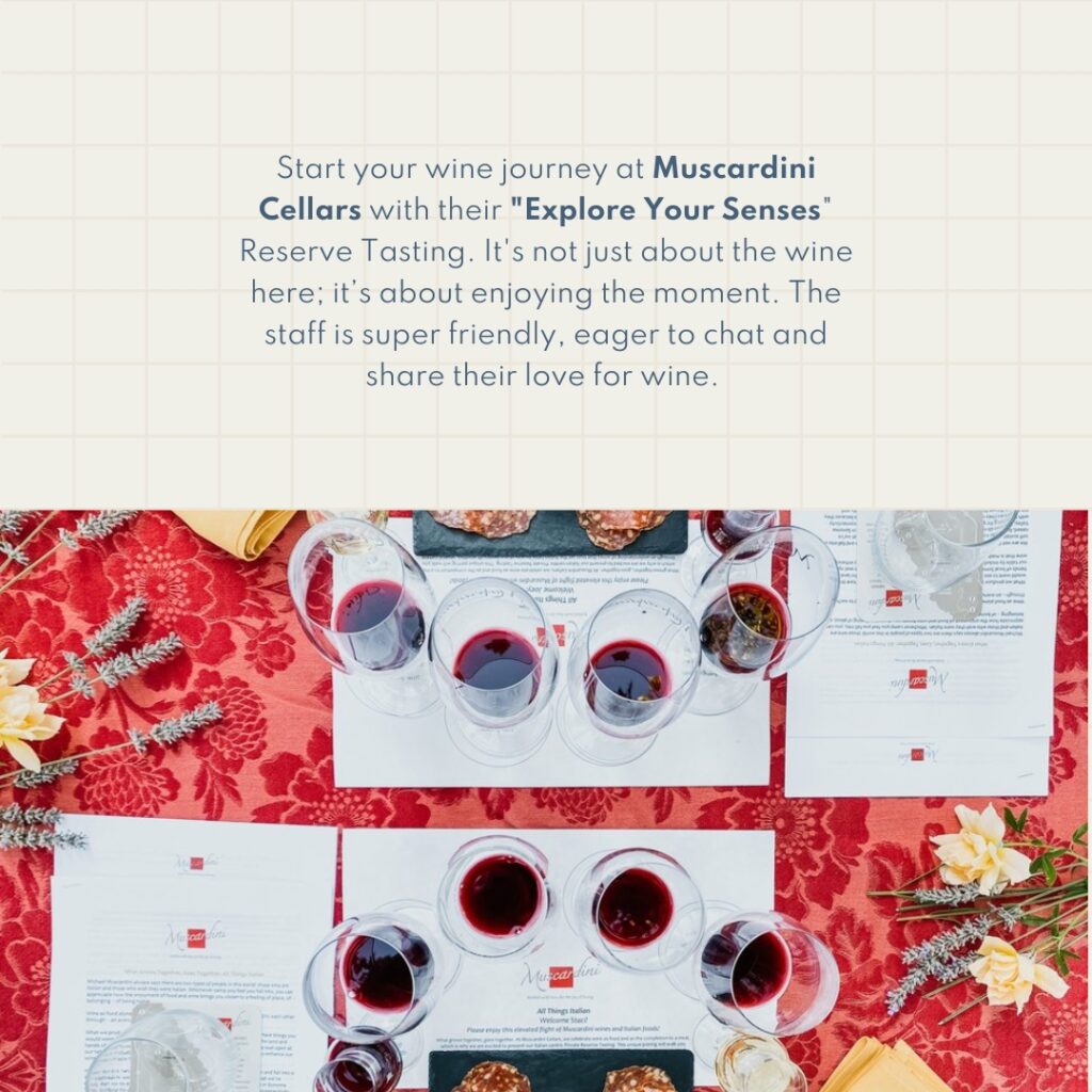 Start your wine journey at Muscardini Cellars with their "Explore Your Senses" Reserve Tasting. It's not just about the wine here; it’s about enjoying the moment. The staff is super friendly, eager to chat and share their love for wine.