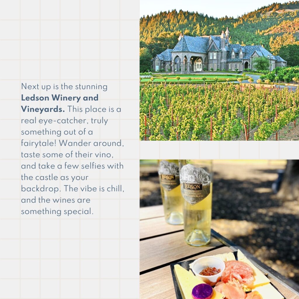 Next up is the stunning Ledson Winery and Vineyards. This place is a real eye-catcher, truly something out of a fairytale! Wander around, taste some of their vino, and take a few selfies with the castle as your backdrop. The vibe is chill, and the wines are something special.